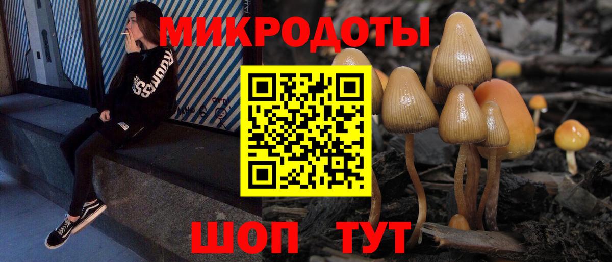 Псилоцибиновые грибы мицелий  где продают наркотики  Тимашёвск  Вход с VPN 